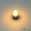 Frosted 1SMD-NG Non-Ghosting 6.3 volt LED